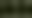 Notifications