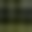 Notifications